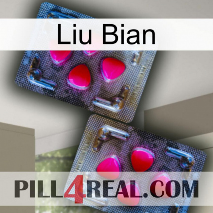 Liu Bian 15